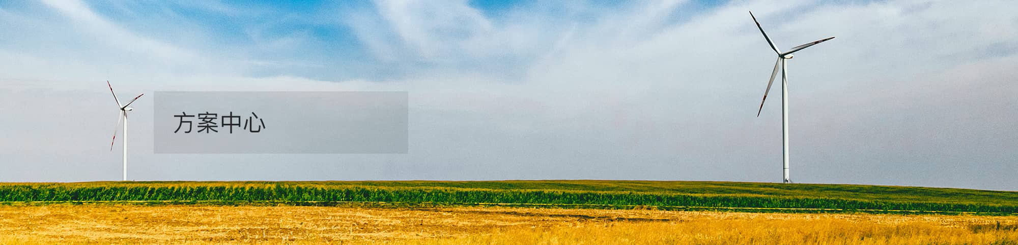 信息技術(shù)及服務(wù)