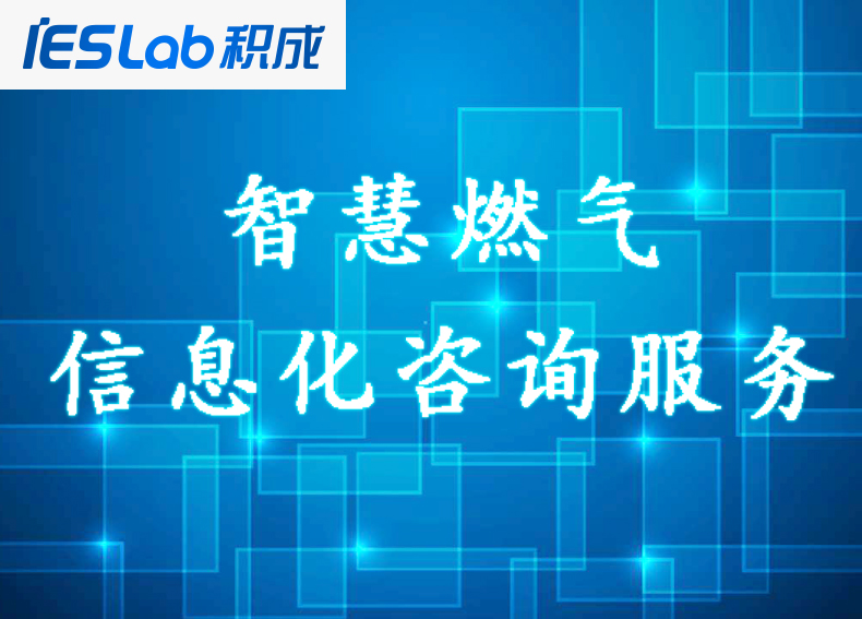 信息化咨詢服務(wù)